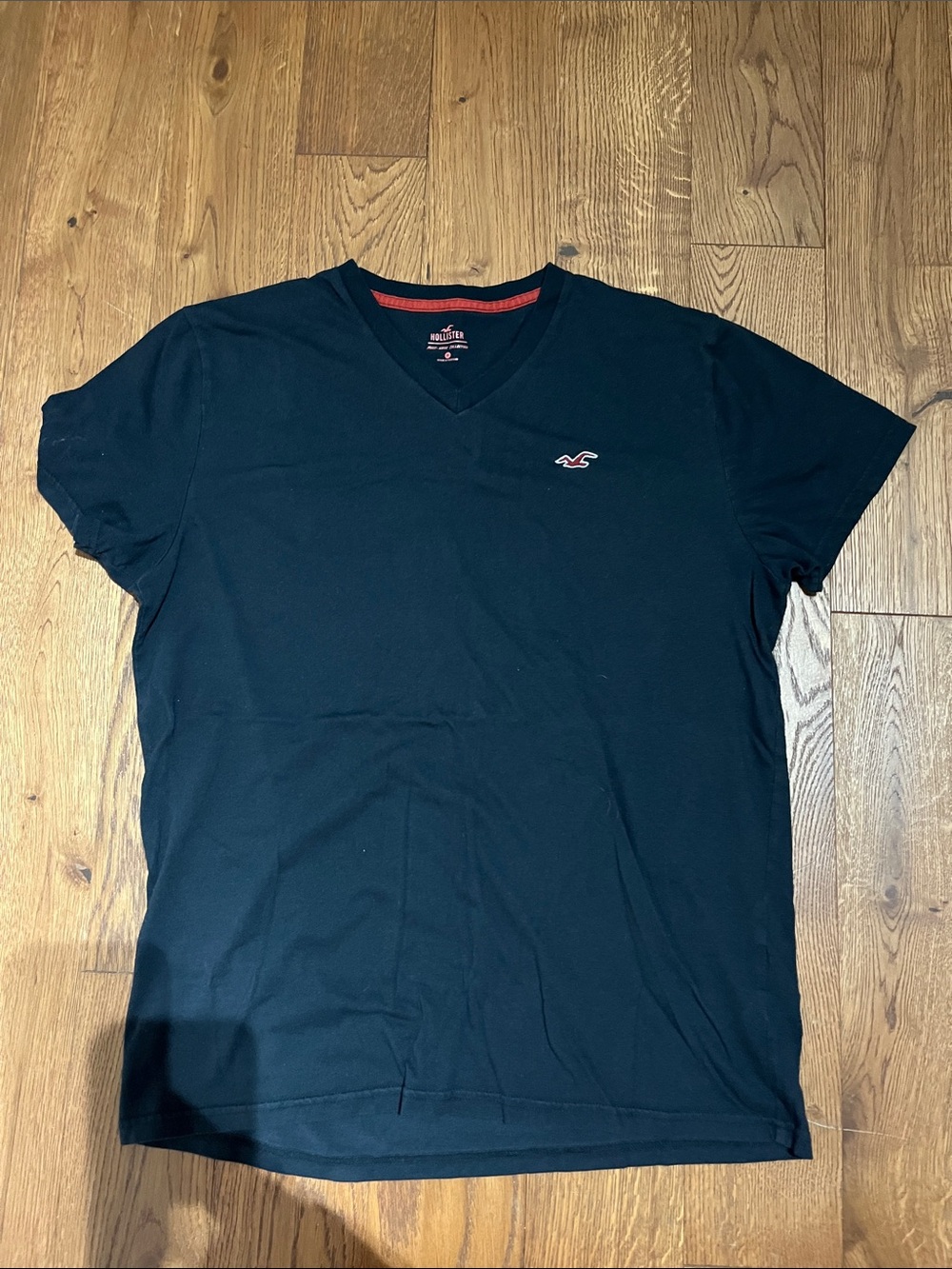 Hollister Men’s Black V-Neck Tee with Small Red Seagull